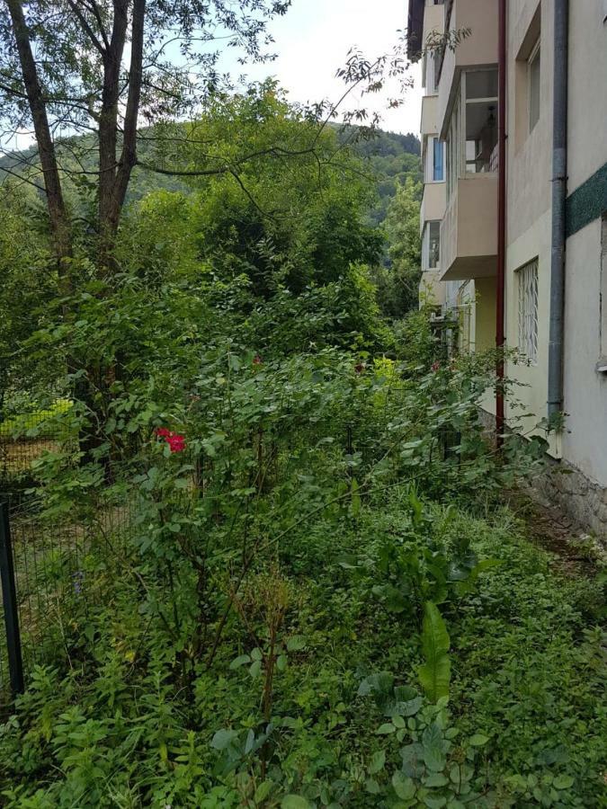 Premium Apartment Sinaia Ngoại thất bức ảnh